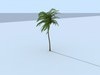 Palm Vray 3D Model .c4d