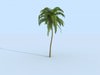Palm 3D Model