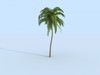 Palm 3D Model .c4d