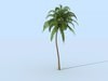 Palm 3D Model .c4d
