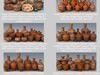Egyptian No Subjects Collection Single Piece Pottery EGYns01 3D Model .obj .lwo .lw .lws