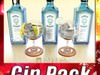High Detailed Bombay Sapphire Collection 3D Model