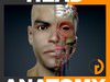 Human Male Head Anatomy 3D Model