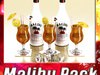 Malibu Bottle, Cocktail and Shot Glass Collection 3D Model