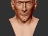 Bald 3D Model
