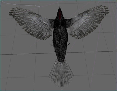 Crow Surfaced 3D Model .max .3ds .lwo .lw .lws .c4d .ma .mb .3dm