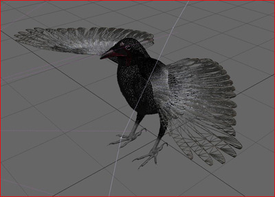 Crow Surfaced 3D Model .max .3ds .lwo .lw .lws .c4d .ma .mb .3dm