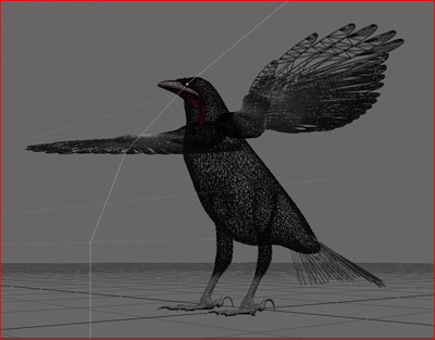 Crow Surfaced 3D Model .max .3ds .lwo .lw .lws .c4d .ma .mb .3dm