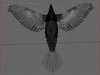 Crow Surfaced 3D Model .max .3ds .lwo .lw .lws .c4d .ma .mb .3dm