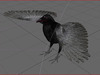 Crow Surfaced 3D Model .max .3ds .lwo .lw .lws .c4d .ma .mb .3dm