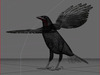 Crow Surfaced 3D Model .max .3ds .lwo .lw .lws .c4d .ma .mb .3dm
