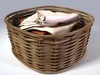 Wicker Laundry Basket 3D Model
