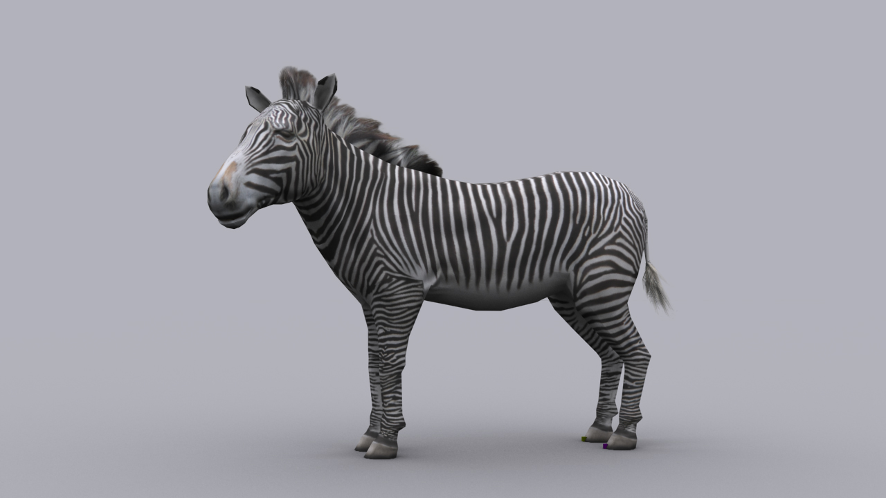 Zebra Games Zebra Games