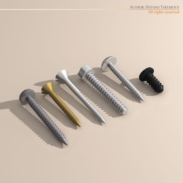 Screws 3D Model .obj .3ds .fbx .c4d .ma .mb .dxf