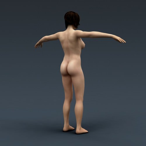 Human Female Anatomy - Body, Muscles, Skeleton, Internal Organs and Lymphatic 3D Model .max .obj .3ds .fbx .lwo .lw .lws .c4d