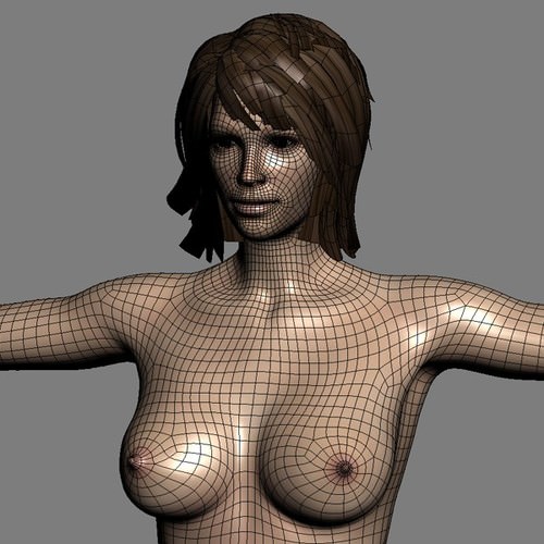 Human Female Anatomy - Body, Muscles, Skeleton, Internal Organs and Lymphatic 3D Model .max .obj .3ds .fbx .lwo .lw .lws .c4d