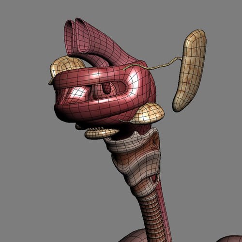 Human Female Anatomy - Body, Muscles, Skeleton, Internal Organs and Lymphatic 3D Model .max .obj .3ds .fbx .lwo .lw .lws .c4d