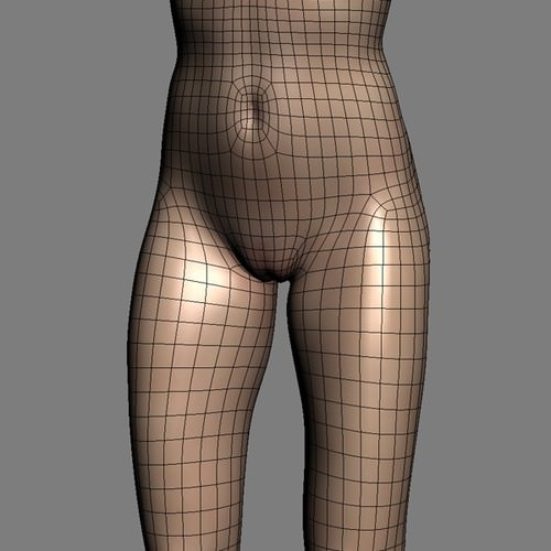 Human Female Anatomy - Body, Muscles, Skeleton, Internal Organs and Lymphatic 3D Model .max .obj .3ds .fbx .lwo .lw .lws .c4d