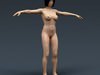 Human Female Anatomy - Body, Muscles, Skeleton, Internal Organs and Lymphatic 3D Model .max .obj .3ds .fbx .lwo .lw .lws .c4d