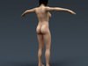 Human Female Anatomy - Body, Muscles, Skeleton, Internal Organs and Lymphatic 3D Model .max .obj .3ds .fbx .lwo .lw .lws .c4d