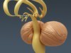 Human Female Anatomy - Body, Muscles, Skeleton, Internal Organs and Lymphatic 3D Model .max .obj .3ds .fbx .lwo .lw .lws .c4d