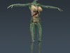 Human Female Anatomy - Body, Muscles, Skeleton, Internal Organs and Lymphatic 3D Model .max .obj .3ds .fbx .lwo .lw .lws .c4d