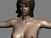 Human Female Anatomy - Body, Muscles, Skeleton, Internal Organs and Lymphatic 3D Model .max .obj .3ds .fbx .lwo .lw .lws .c4d