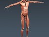 Human Female Anatomy - Body, Muscles, Skeleton, Internal Organs and Lymphatic 3D Model .max .obj .3ds .fbx .lwo .lw .lws .c4d