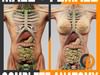 Human Male and Female Complete Anatomy - Body, Muscles, Skeleton, Internal Organs and Lymphatic 3D Model