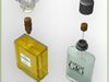 Replica Perfume Bottles Chanel N°5 and Acqua di Giò 3D Model .max .obj .fbx