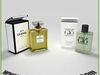Replica Perfume Bottles Chanel N°5 and Acqua di Giò 3D Model .max .obj .fbx