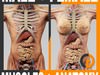 Human Male and Female Anatomy - Body, Muscles, Skeleton and Internal Organs 3D Model