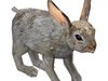 Rabbit 3D Model