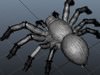 spider 3D Model .ma .mb