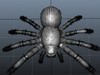 spider 3D Model .ma .mb