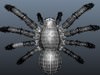 spider 3D Model .ma .mb