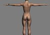 Lara 3D Model .max .obj