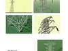 49 Engineered Structures 3D Model .obj .3ds .lwo .lw .lws .c4d