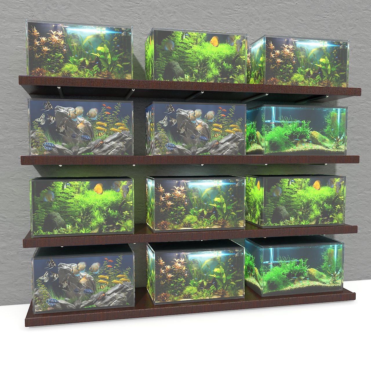aquarium shelves 3D Models