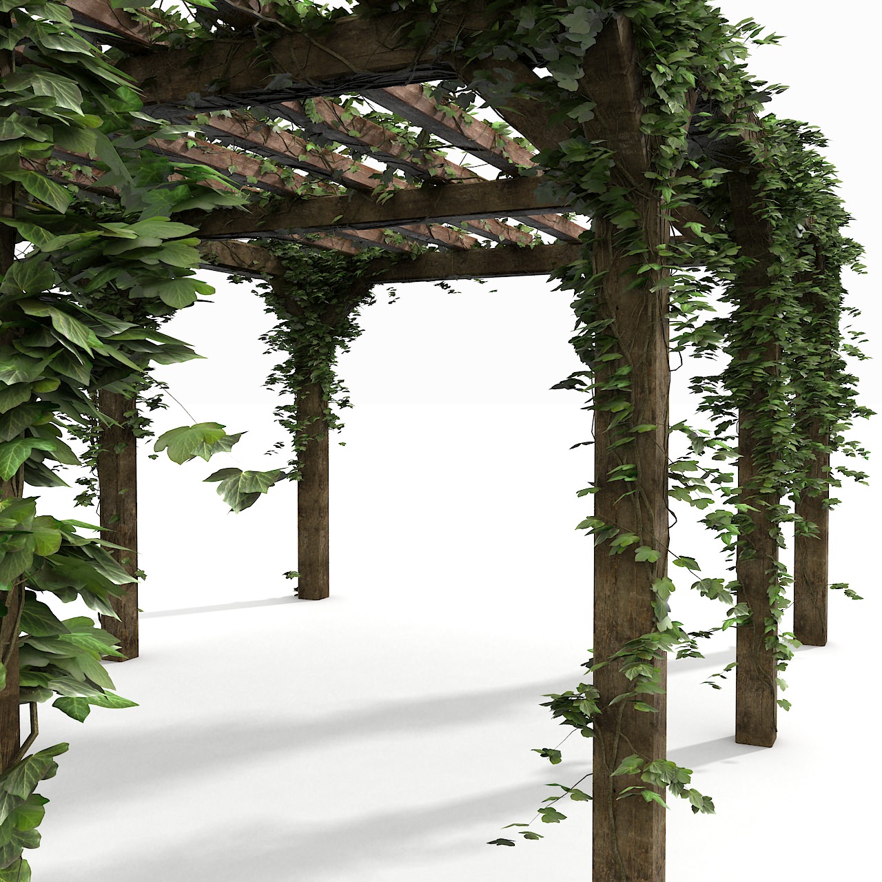 wooden pergola with ivy plant 3D Models
