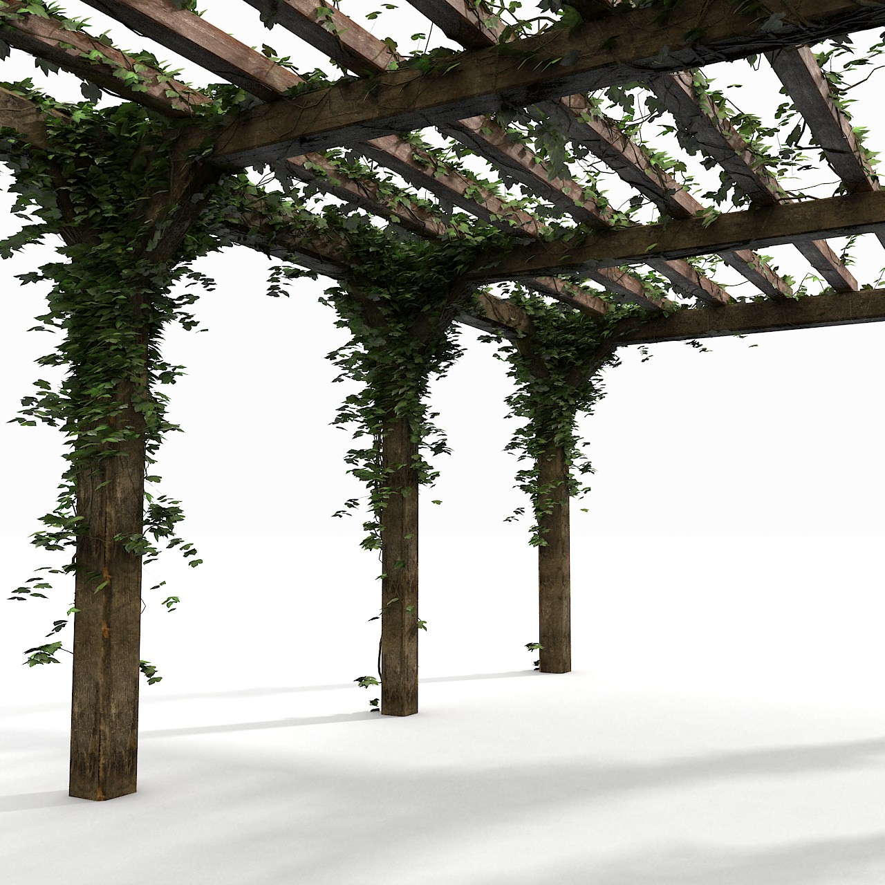 wooden pergola with ivy plant 3D Models