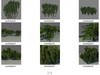 Garden Collection 3D Model .obj .3ds