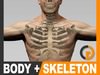 Human Male Body and Skeleton Textured - Anatomy 3D Model
