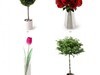 plant 3D Model .max