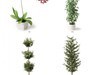 plant 3D Model .max