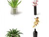 plant 3D Model .max