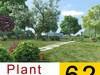 62 models of plants 3D Model