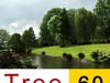 60 models of very realistic plants 3D Model
