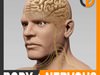 Human Male Body and Nervous System - Anatomy 3D Model