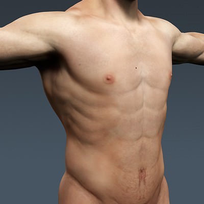 Human Male Body, Muscular, Respiratory System and Skeleton - Anatomy 3D Model .max .obj .3ds .fbx .lwo .lw .lws .c4d